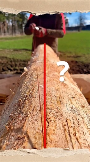 What string do you use? #shorts