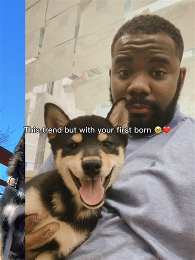 My First Shibu: Missing My 1st Born (2019–2025)