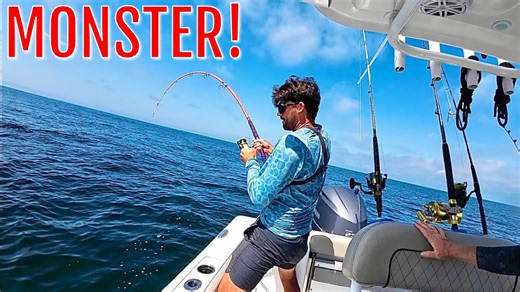 Reef monsters destroyed by ocean’s strongest fish catch