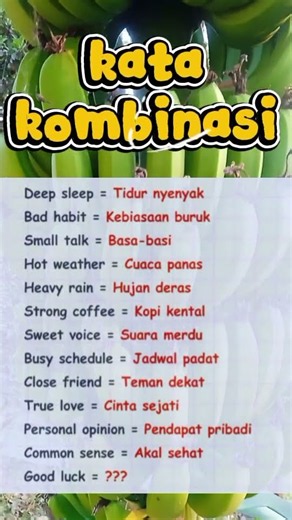 kosakata bahasa inggris #bahasainggris #vocabulary