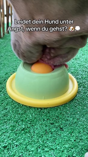 Das perfekte Spielzeug, um deinen Hund zu beschäftigen Einfach den Lieblingssnack einfüllen Weniger Stress und mehr Spaß zu Hause 🐾 #hunde #haustiere #hundeliebe #hundespielzeug #hundeauftiktok . . . . : : Futternapf für Haustiere, Hunde und Katzen, Hundezubehör, Hundeangst, Tierwohl, mentale Stimulation, interaktiver Futternapf