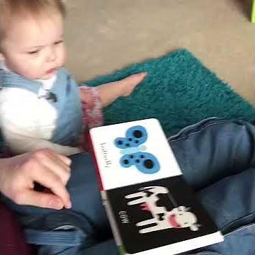 The cow says moo.. / vine