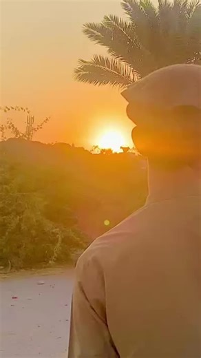 🍁ضېا۶الدېن وطنپال🍁 (@ziauddin.khan962)’s videos with original sound - Maaz,s Diary🌸🍁