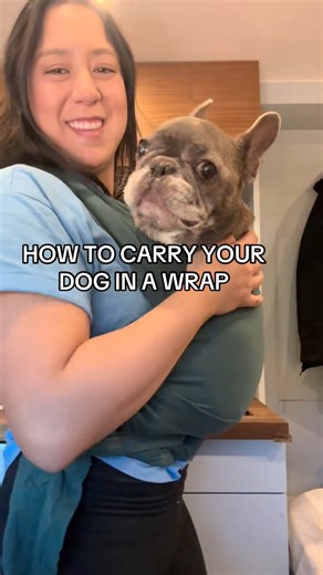 1M views · 21K reactions | Before the hateful comments come in like "yOuR dog sHould wALk OnhiS owN", here's a little back story. #notsponsored I started using this wrap for Henry because he was 10 years old and diagnosed with colon cancer. Instead of leaving him at home while we walked and hiked with our other dogs, I'd use this so he would never miss out on an adventure. Link below: https://amzn.to/4p37Wjw | Henry and Penny | Facebook