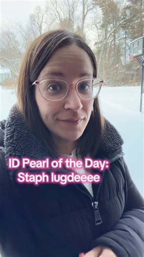 Jessica Abrantes, MD on Instagram: "✨Staphylococcus lugdunensis✨ 📌Coagulase negative staph (CoNS) 📌While typically when we see a CoNS we think contaminant, but you should never with this species 📌So when you see Staph lugdee (as I like to say) then it should be treated as aggressively as Staph aureus 🍇 Which CoNS have you seen lately? #snow #oncall #medstudent #nursing"