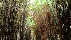 10 Tempat Wisata di Surabaya yang Lagi Hits 2025, Kumpulan Destinasi Instagramable!