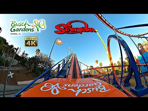 Scorpion Roller Coaster On Ride Front Seat 4K POV Busch Gardens Tampa 2023 10 31
