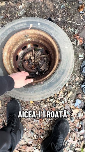 Magazie de piese auto - Dacia / ARO - partea 1 #industrie #industriedistrusa #pieseauto