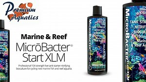 In Today's video, we are taking a look at the Brightwell Aquatics Microbacter Start XLM. A new nitrifying bacteria product to help you cycle a reef tank. Microbacter Start XLM: https://premiumaquatics.com/search?search=XLM https://www.youtube.com/watch?v=QRzmFsfjD5Q& How to enter giveaway: 1. Watch video on YouTube and hit Thumbs up 2. Subscribe if you haven't already to our YouTube channel 3. Post a comment on the YouTube video. | Premium Aquatics | Facebook