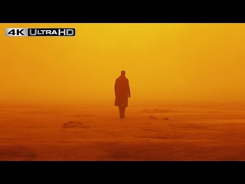 Blade Runner 2049 4K | Orange Las Vegas