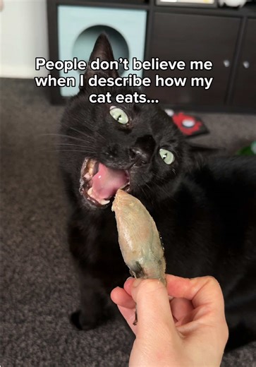 These are my most requested videos 😅 . . . #blackcatsoftiktok #spicycat #foodreview