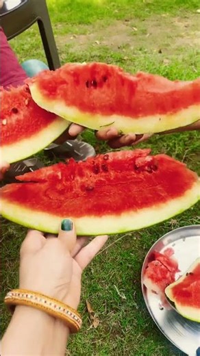 Meena geet#virlshorts #meenageet