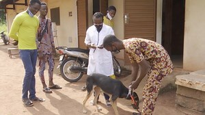 43 reactions | C'était la 14è édition de la journée mondiale contre la #rage ce 28 septembre 2020. Cette maladie mortelle se transmet aux humains après une morsure des animaux de compagnie (chiens et chats) infectés. Découvrez à travers cette vidéo des précautions à prendre par les propriétaires de ces animaux. | Bénin TV - SRTB | Facebook