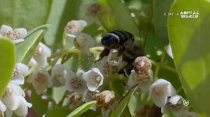 Digi World HD HU 20230711 123052