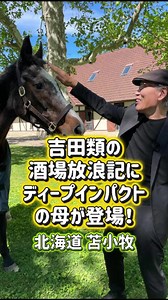 なんと、あの伝説の競走馬・ディープインパクトのお母さん「ウインドインハーヘア」が『吉田類の酒場放浪記』に登場します！🐎 馬齢35歳✨人間の年齢だと【100歳超え】‼️元気に過ごす姿に癒されます💕 皆さんのウインドインハーヘアの思い出や、類さんへのコメント、お待ちしています👇 📺BS-TBS「吉田類の酒場放浪記」 2週連続 北海道 酒場放浪の旅 7/13(月)よる9時 苫小牧編 7/20(月)よる9時 岩見沢編 TVer見逃し＆U-NEXT配信も！ ##酒場放浪記##ディープインパクト##競馬#吉田類 @Northern Horse Park