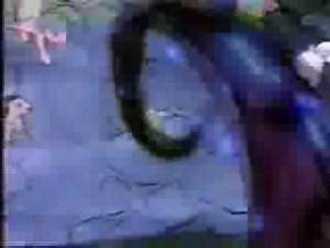 Firefly´s Adventure(Rescue at Midnight Castle)