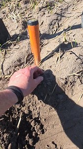 Od 1830 roku leżała w ziemi...#history #hobby #metaldetecting #humor | Odkrywca Historii