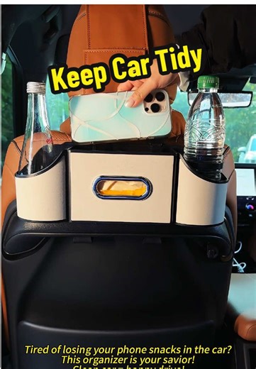 Keep Your Car Tidy with a Back Seat Organizer
