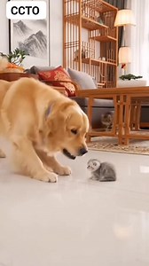 Kunwari mabait 😂 | Boss Kotv