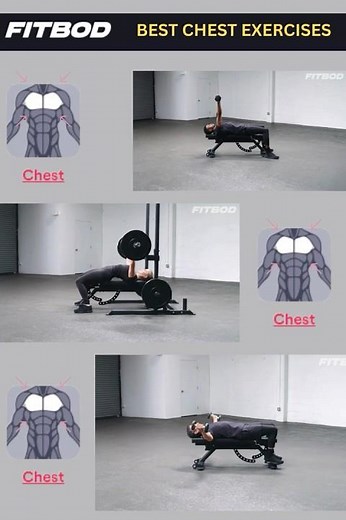 Top Chest Exercises for Power, Definition & Size | Full Chest Workout Guide