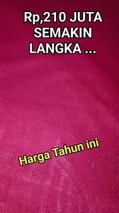 11K views · 309 reactions | Rp,210 JUTA  Harga saat ini  Semakin Langka 2024 #uangkuno | CMPA TV | Facebook