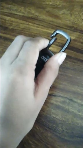 audi key chain