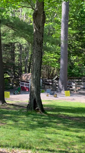 1.2K views · 24 reactions | Did you know that our Barnyard is OPEN 10-5 through October? It’s a great time for a visit… and remember to stop in for lunch (11-3) and ice cream (10-7) | Smiling Hill Farm | Facebook