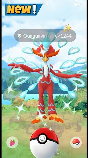 First Ever✨️Shiny Quaquaval On Community day Pokemon Go