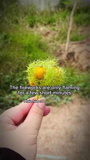 “Reset Your Life: The Secret No One Told You” P.20 #resetyourmindset #motivation #love #lifequotes