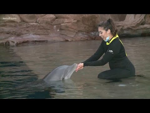 SeaWorld offers new animal encounters