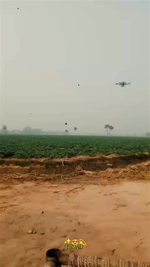 Mohsin Mohsin (@mohsin.mohsin084)’s videos with original sound - Mohsin Mohsin