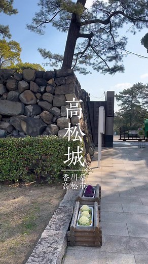 TikTokでしずくいしさんをチェック！