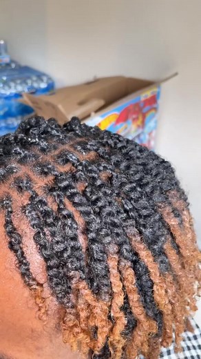 Zeena’s braids on TikTok