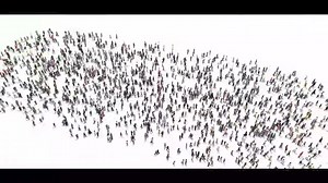 29K views · 75 reactions | Say goodbye to tourist traps and hello to authentic adventures in Namibia. Experience the freedom of exploration as you roam our untouched wilderness. Venice may charge, but Namibia welcomes you with open arms | Gondwana Collection Namibia | Facebook