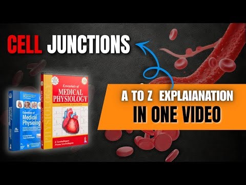 Chapter -2 || Cell Junctions || Physiology sembulingam summary in hindi