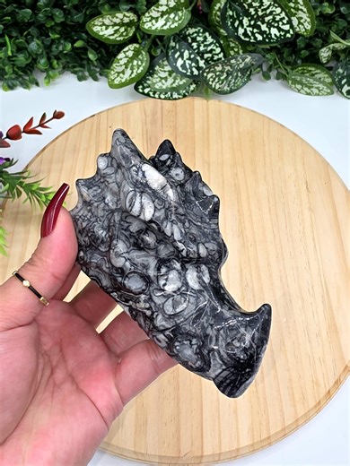 Crinoid Fossil Dragon Head Carving / Dragon Head / Animal Totem / Home Decor / Rocks and Minerals / St31 - Etsy