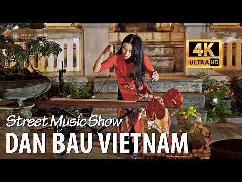 Dan Bau - Vietnamese Musical Instruments and Traditional
