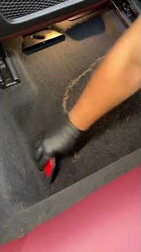 Easiest Way to Remove Pet Hair from Car Carpet & Seats | Best Dog Hair Remover Tool for Cars