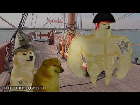 "Time Flyes When You're Having Rum" Doge Music Video