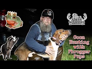 Coon Hunting with Phrogger dogs