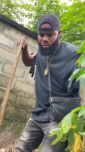 1.7M views · 6.4K reactions | What kind of python is this  #trendingreels #fypシ゚ | Young star king of doings | Facebook