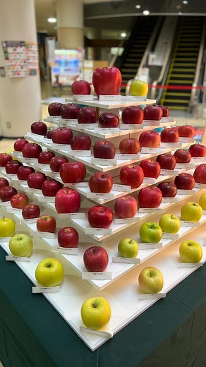 青森県観光物産館アスパム on Instagram: ". ⋆⸜CHRISTMAS MARKET 2024 inアスパム⸝⋆ いや〜、昨晩は積もりましたね😅 本日クリスマスマーケット6日目。 16:00〜オープンです🎄✨ アスパム一階エントランスには、 りんごピラミッドを展示しています🍎🍏🍎 （協力：青森県りんご対策協議会） お馴染みのものからあまり見かけない品種まで、 たくさんのりんごが集結🍎 ちなみに、このピラミッドはとある法則で並べてみました…！ 分かる方には分かるはず🙌 本日もご来場お待ちしています〜！ ｡.｡:+* ﾟ ゜ﾟ *+:｡.｡:+* ﾟ ゜ﾟ *+:｡.｡.｡:+* ﾟ ゜ﾟ *+ CHRISTMAS MARKET 2024 in アスパム #クリスマスマーケットinアスパム ◾︎期間 2024年12月13日(金)〜25日(水) 平日／16:00~20:30 土日・24日・25日／11:00~20:30 ※ラストオーダー 20:00 ◾︎会場 アスパム西側特設会場及び館内 ◾︎オープニングセレモニー 2024年12月13日(金)17:45〜 ⁡◾︎