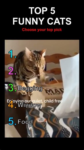 TOP 5 FUNNY CAT CLIP😹 #funnycats