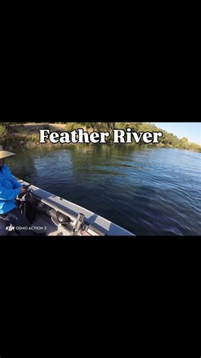 1.9K reactions · 59 shares | Catching King salmon on the Feather...
