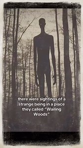 11K views · 1K reactions | Was Slenderman Based on a Real-Life Legend? | Inspector Story | Facebook