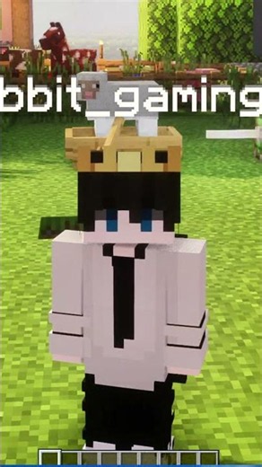 How To Beat Minecraft Piglin Brutes Easily