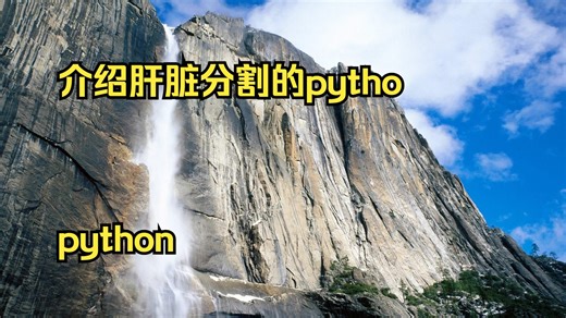 介绍肝脏分割的python课程 python sort 原理 p