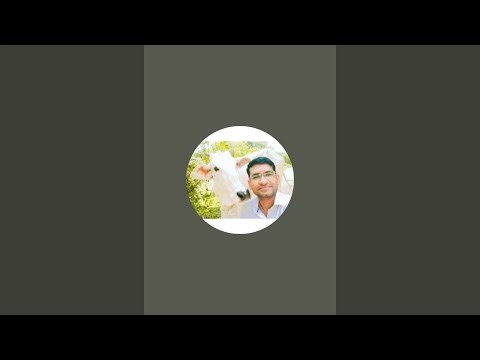 abgaon vlog is live