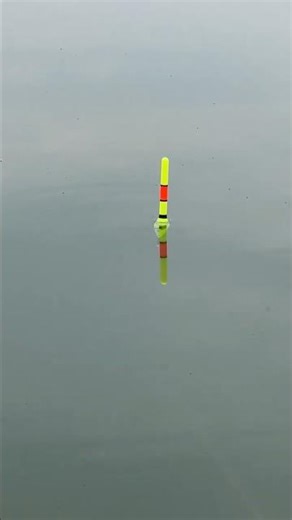 This bobber trick catches HUGE fish every time #fishing #shorts #hack