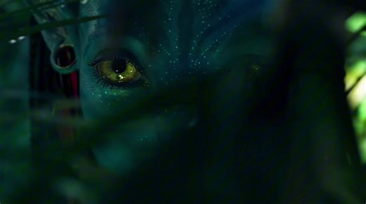 Exploring the Beauty of Avatar's World